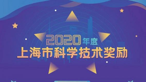 lm体育宏力再获上海市科技进取一等奖！